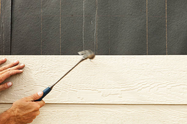 Best Stone Veneer Siding  in Kealakekua, HI